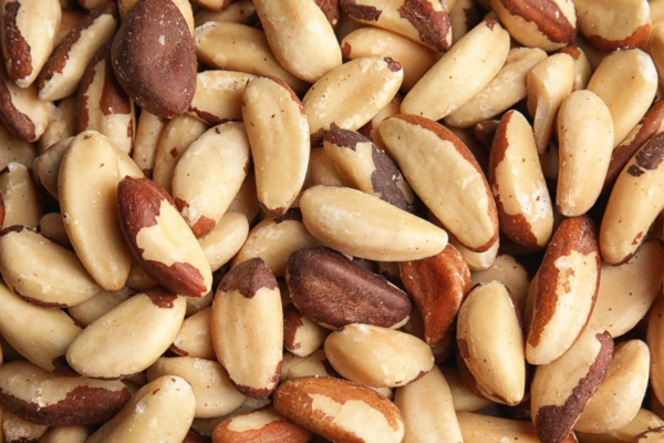 Brazil Nuts: The Superfood for Heart Health and Cholesterol Control