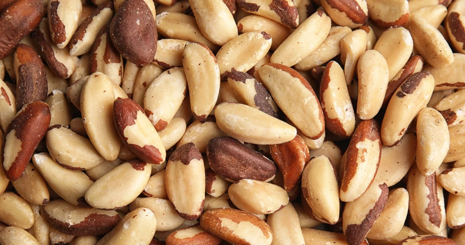 Brazil Nuts: The Superfood for Heart Health and Cholesterol Control
