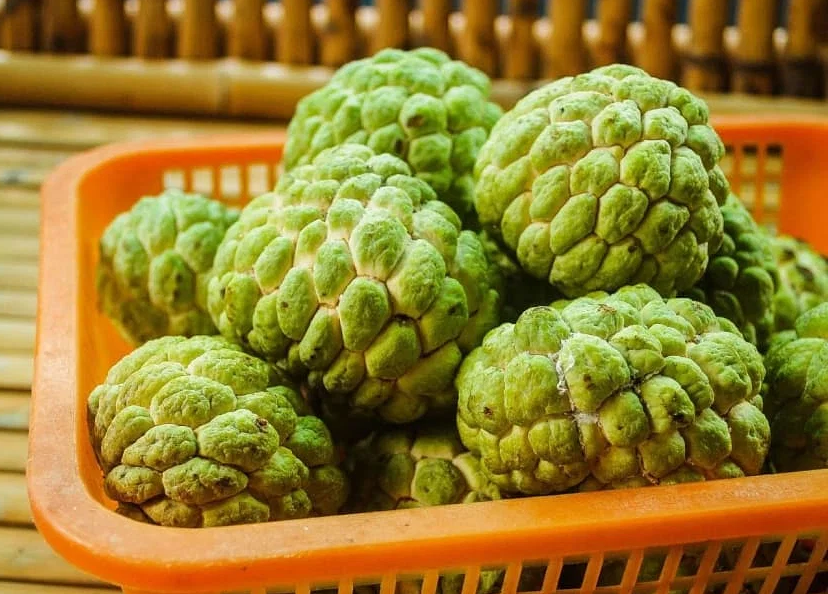 Health Benefits of Cherimoya Boost Your Well-Being Naturally