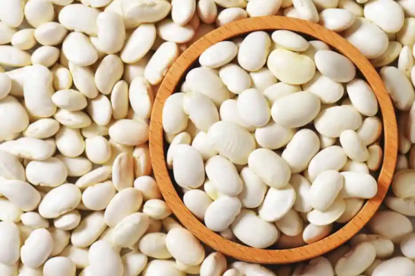 The Health Benefits of Great Northern Beans A Nutritional Powerhouse