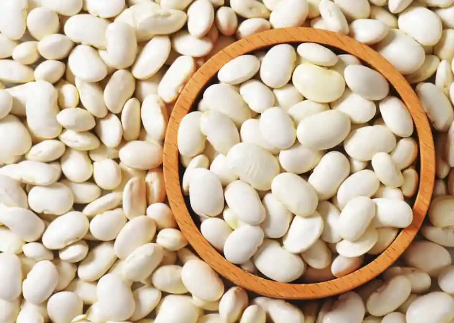 The Health Benefits of Great Northern Beans A Nutritional Powerhouse