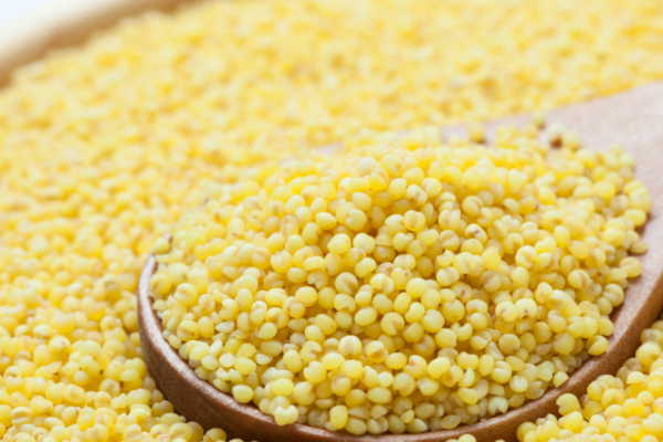 Kodo Millet A Gluten-Free Alternative for Celiac Disease and Gluten Sensitivity