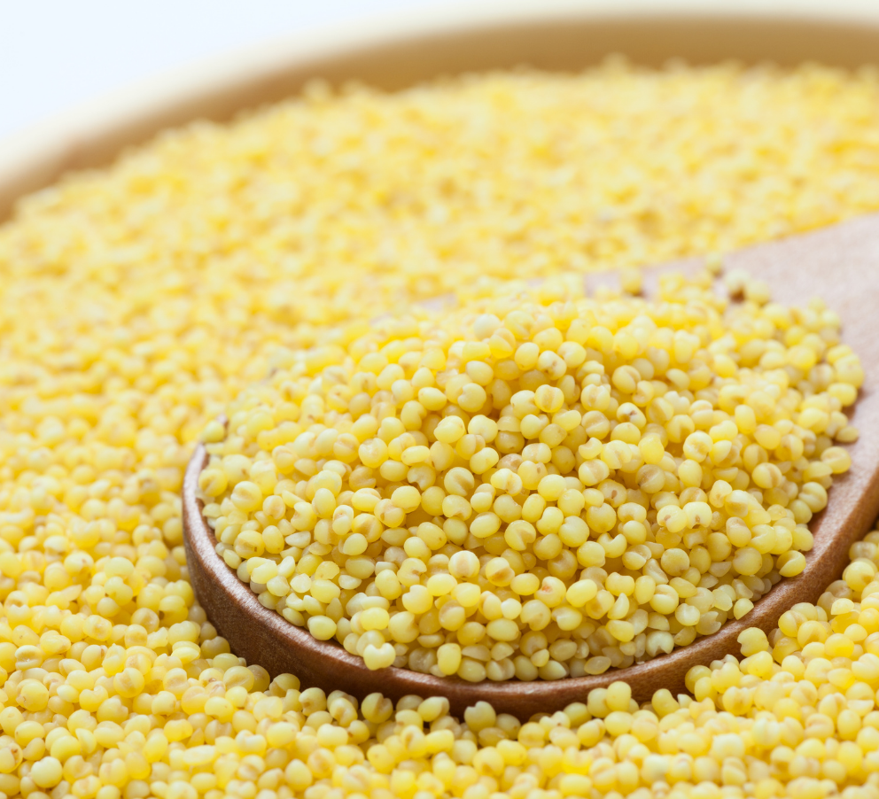 Kodo Millet A Gluten-Free Alternative for Celiac Disease and Gluten Sensitivity