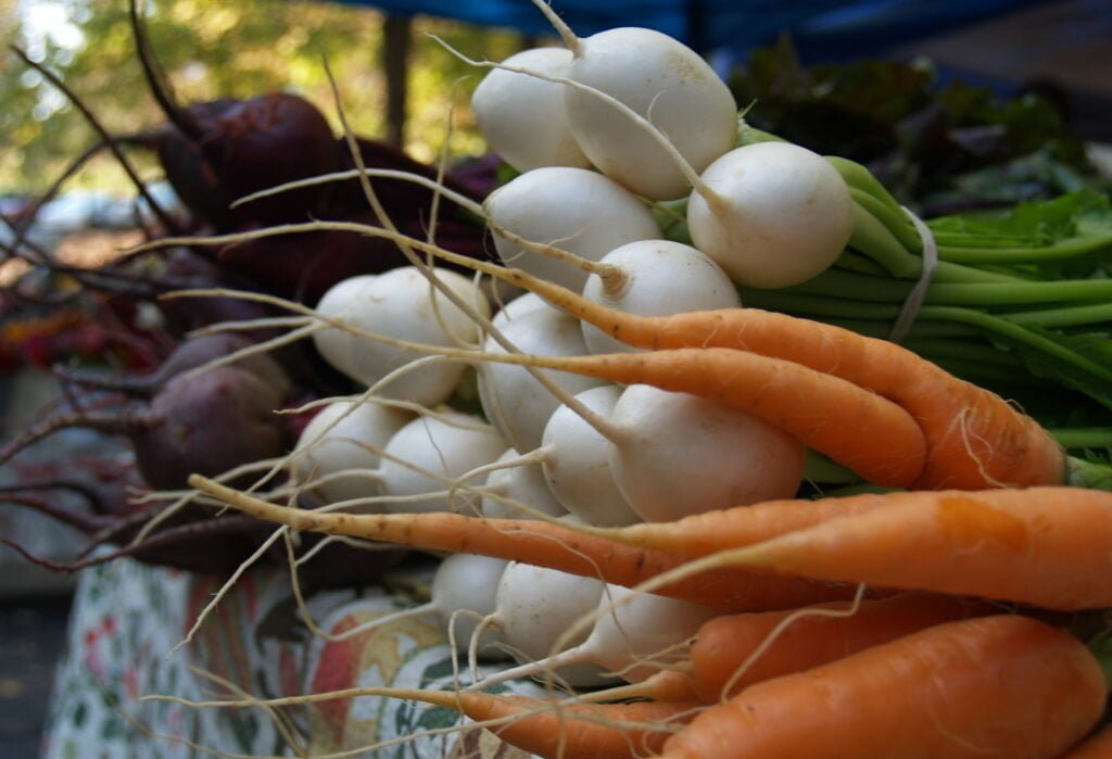 The Surprising Health Benefits of Root Vegetables: Exploring the Nutritional Powerhouses