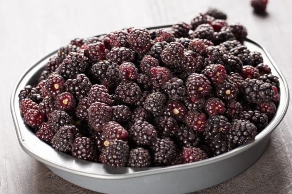 Boysenberry A Superfood for Weight Loss Separating Fact from Fiction