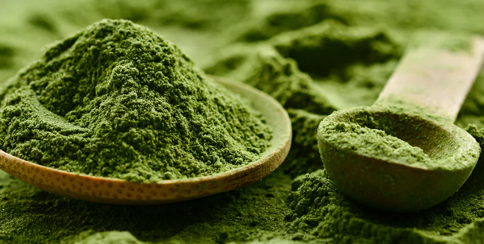 The Benefits of Chlorella: A Comprehensive Guide