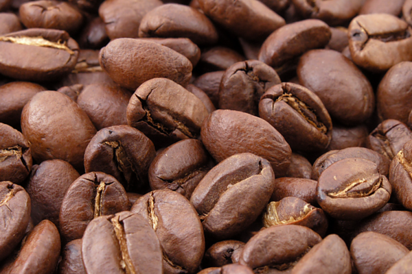 Coffee Seeds vs. Coffee Beans What's the Difference