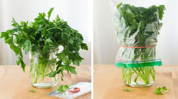 The Best Way to Store Fresh HERBS