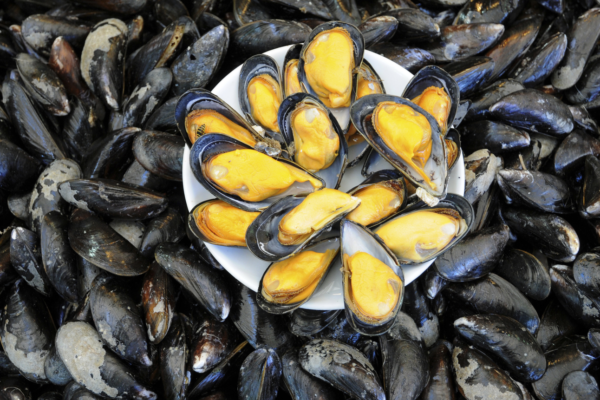 10 Amazing Health Benefits of Mussels