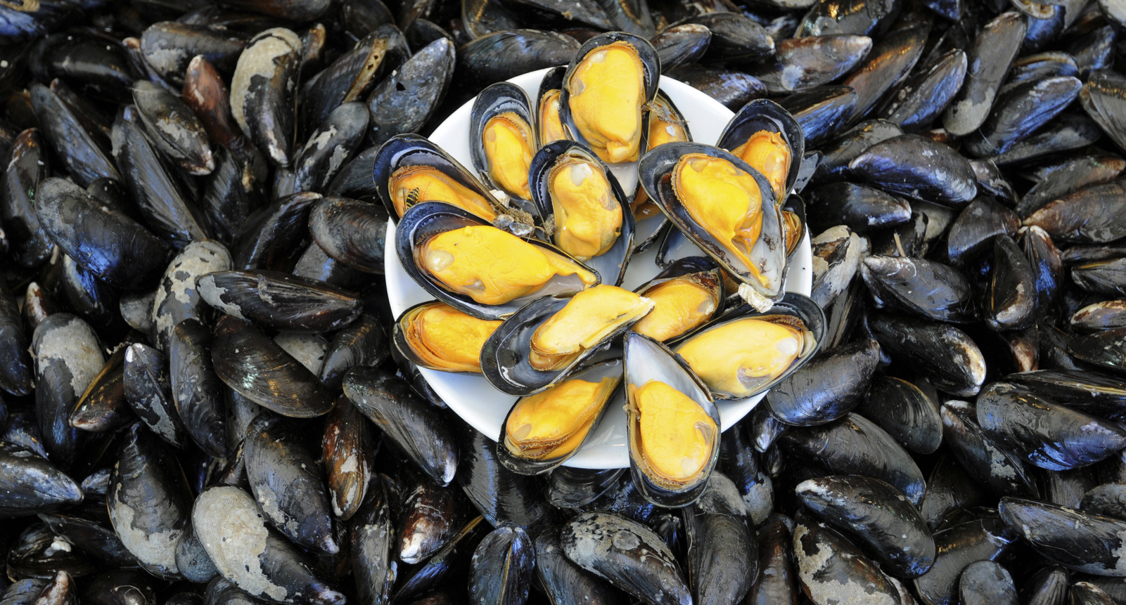 10 Amazing Health Benefits of Mussels