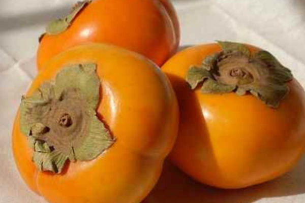 Persimmon Fruit: A Natural Remedy for Digestive Health and Weight Management