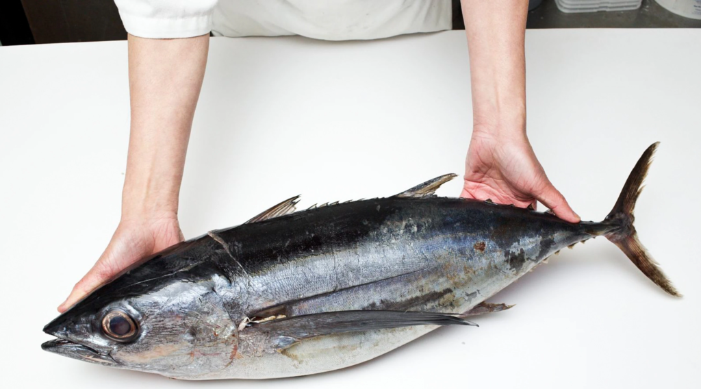The Truth About Tuna: Is It Still Safe to Eat?