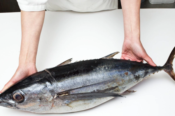 The Truth About Tuna: Is It Still Safe to Eat?