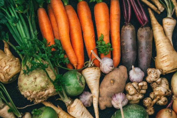 The Nutritional Powerhouses: 5 Root Vegetables You Should Include in Your Diet
