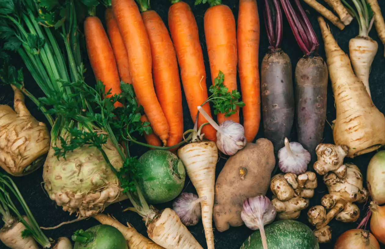 The Nutritional Powerhouses: 5 Root Vegetables You Should Include in Your Diet