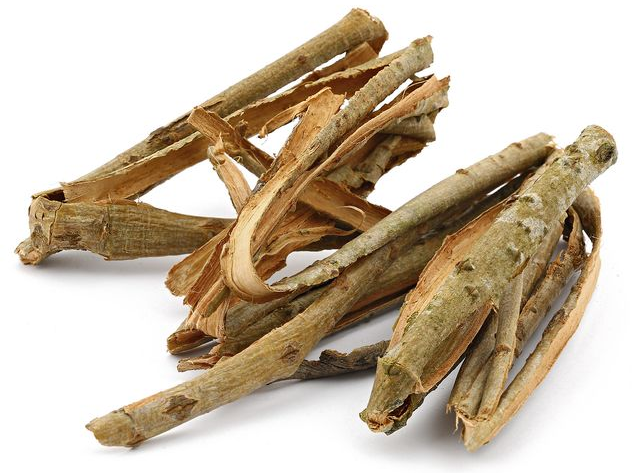 The Healing Power of Willow Bark A Natural Remedy Worth Trying