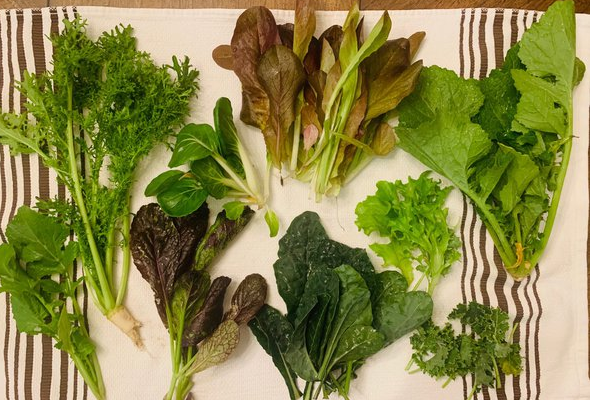 10 Greens That Are Better For You Than Kale