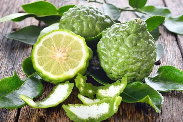 Kaffir Lime Essential Oil: Uses and Benefits for Mind and Body