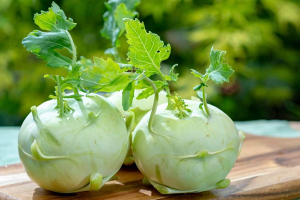 The Health Benefits of Adding Kohlrabi to Your Diet