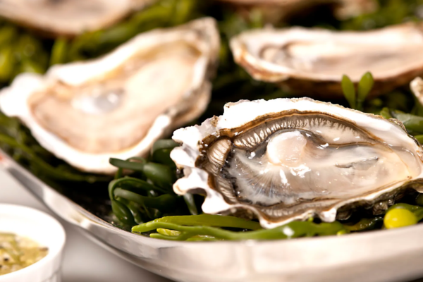 Health Benefits of Oysters What You Need to Know