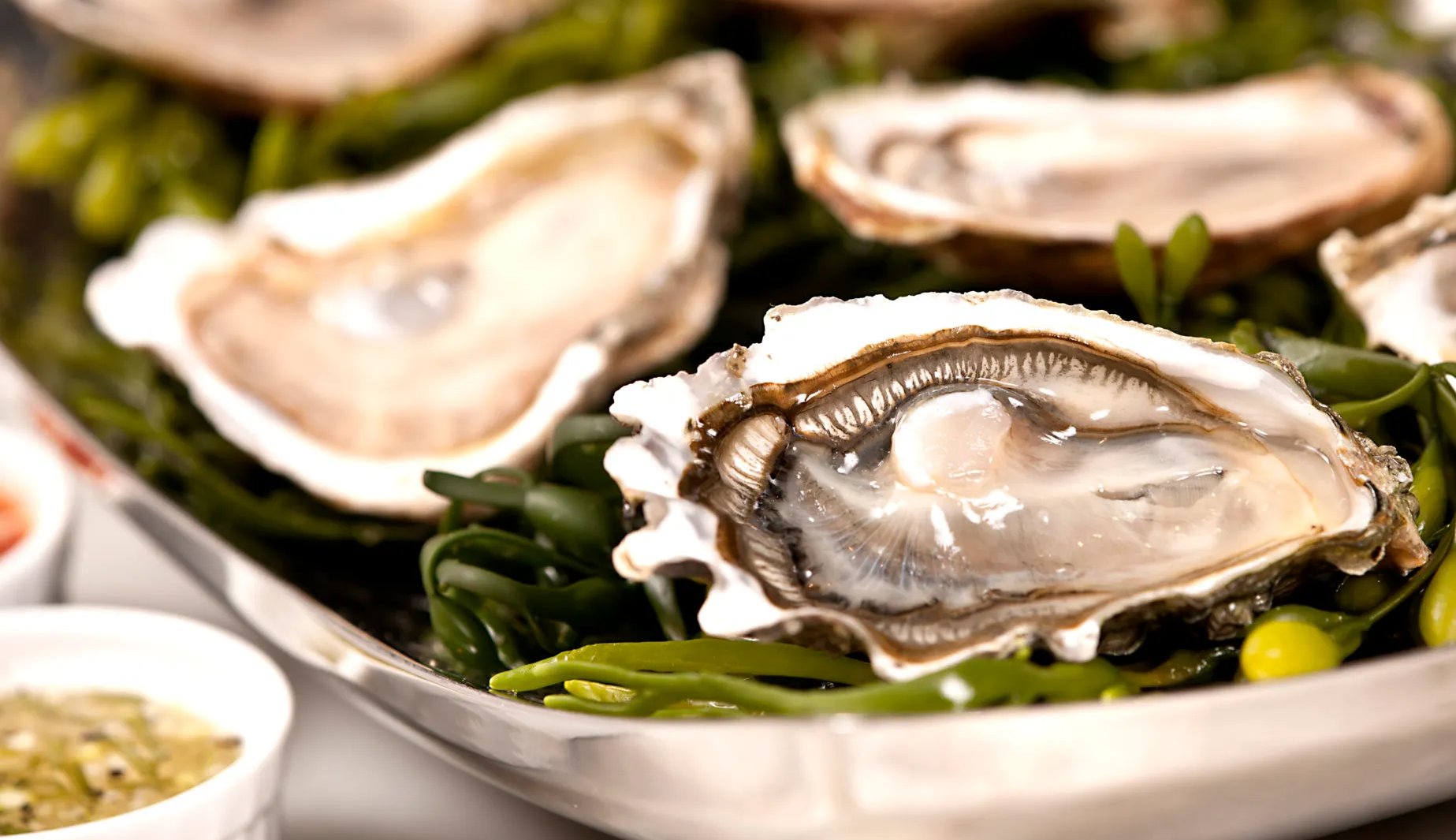 Health Benefits of Oysters What You Need to Know