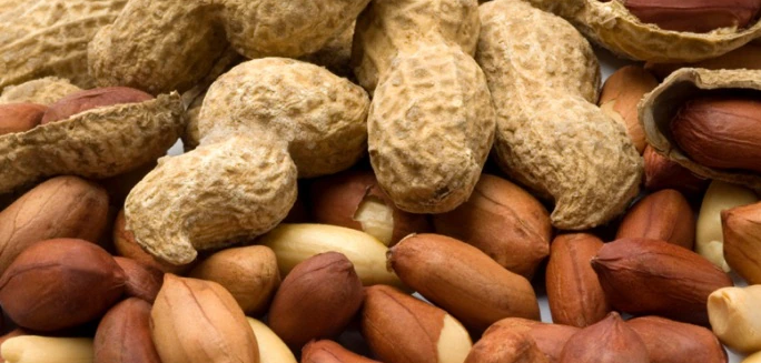 6 Amazing Health Benefits Of Peanuts