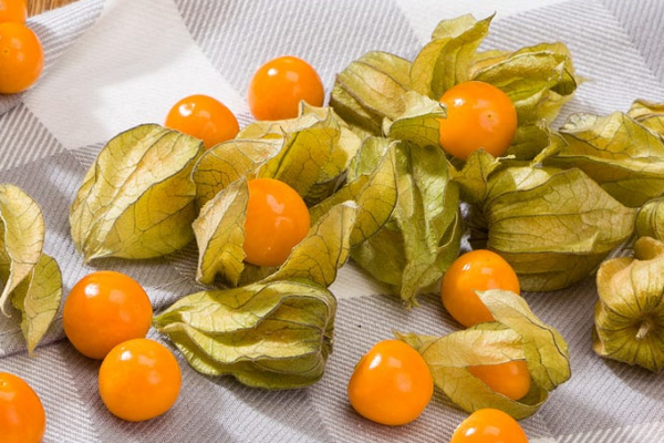 Exploring the Health Benefits of Physalis Fruit: What You Need to Know