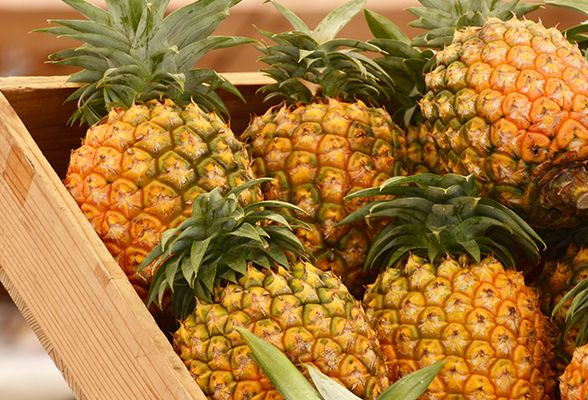 Benefits of Pineapple Digestive Enzymes and Probiotics Abound