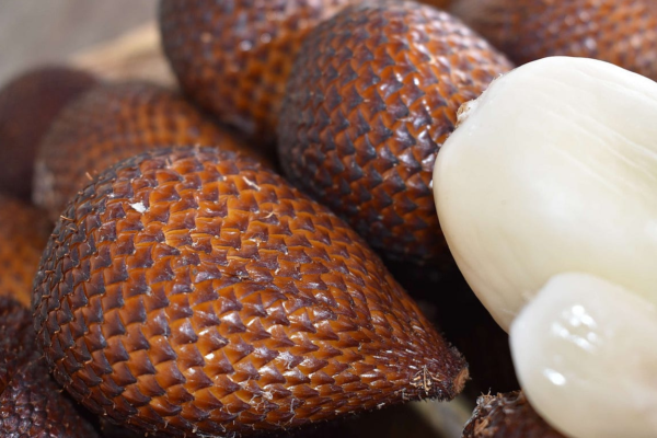 SnakeFruit A Delicious and Nutritious Tropical Superfood