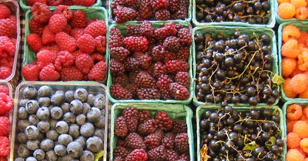 The Ultimate Guide to the Health Benefits of Berries Power