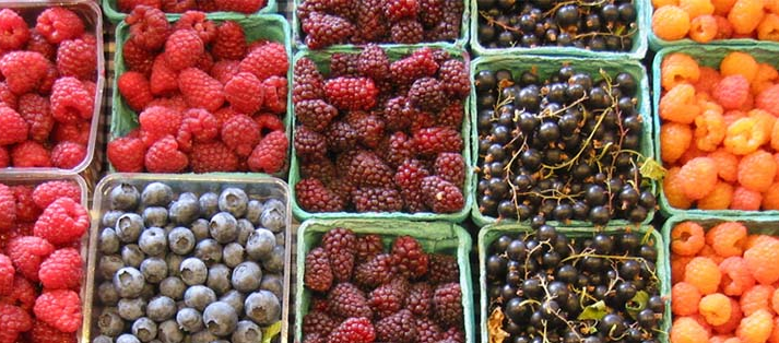 The Ultimate Guide to the Health Benefits of Berries Power