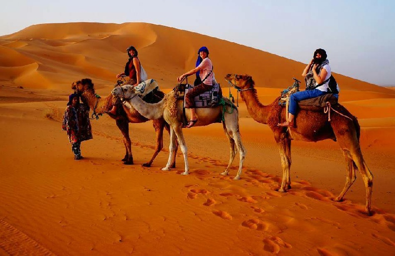 Arabian Nights Camel Trekking into the Desert
