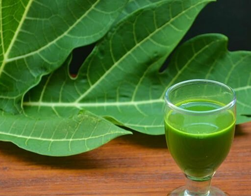 5 Incredible Health Benefits of Drinking Papaya Leaf Juice
