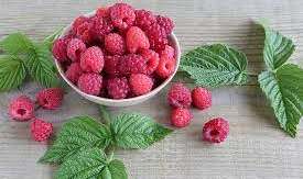 The Surprising Health Benefits of Raspberry Leaf Tea You Need to Know