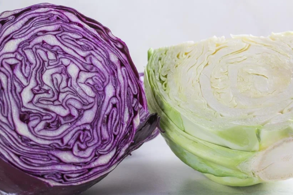 Red Cabbage vs. Green Cabbage: Which Is the Healthier Choice?