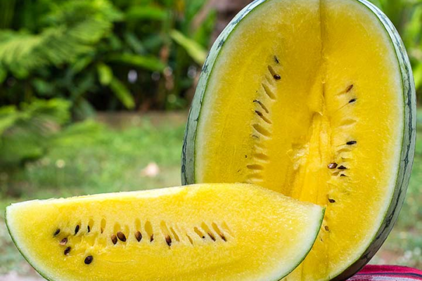 The Unique Health Benefits of Yellow Watermelon You Didn't Know About